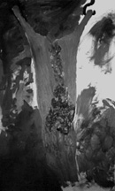 slaughterd pig painting