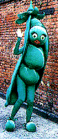 Penelo Pea Pod